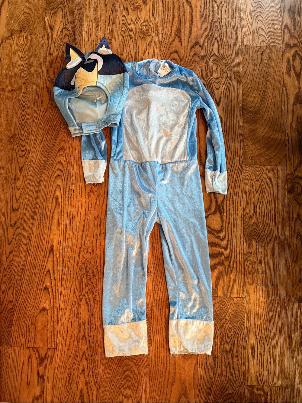 Bluey Costume- 3T